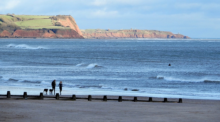 a couple walking along the seashore with a dog
