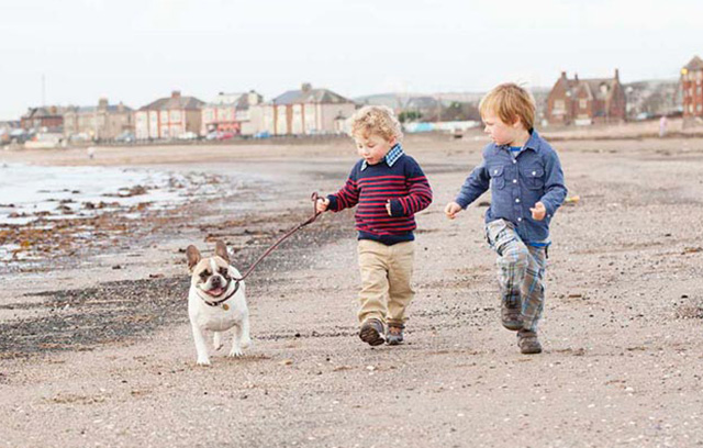 Two little boys walking a dog along a beach