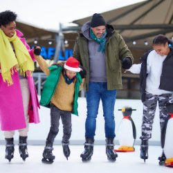 a family on an ice skating rink