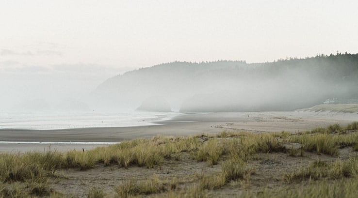 A misty beach