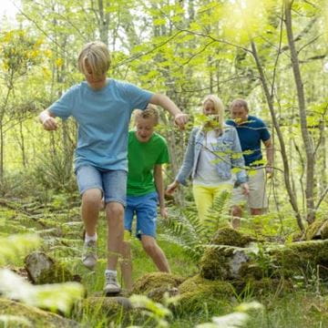 Kids playing in the woods