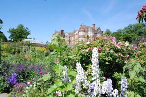 a lush garden of flowers with a grand building in the background