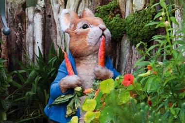Peter Rabbit eating a carrot