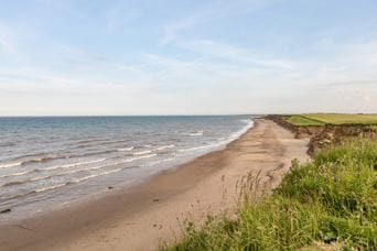Barmston Beach