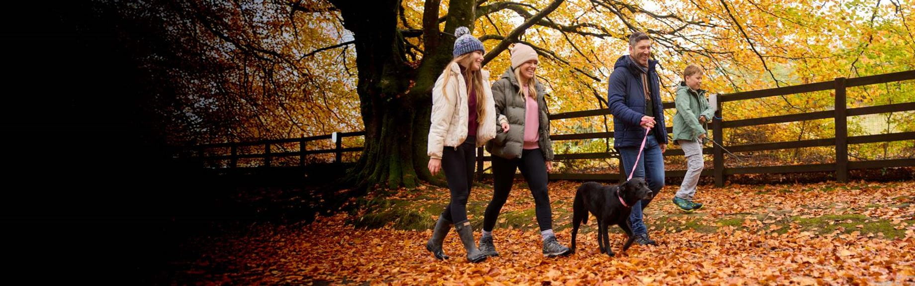 Family walking in autumn with dog