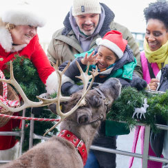 A family holding their child up to meet a real reindeer on a Parkdean Resorts Winter Wonderland break