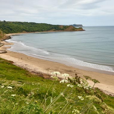 A view over a sandy beach bay backed with greenery