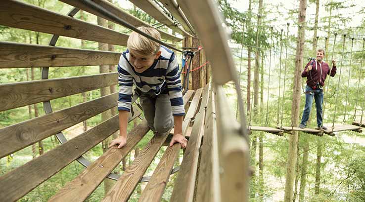 Go Ape Aberfoyle