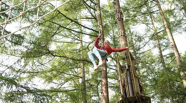 Swinging between trees