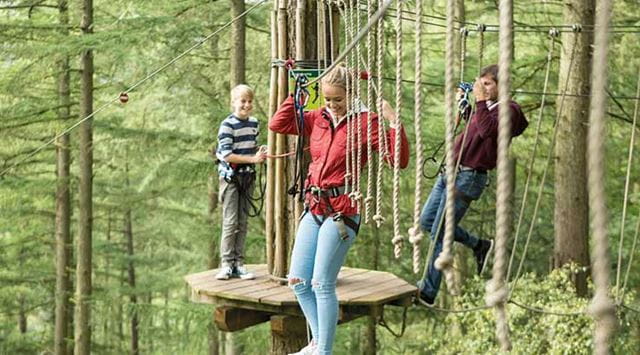A girl walking a tightrope through the forest at Go Ape in Grizedale