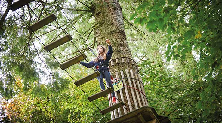 Girl walking through trees at Go Ape Haldon Forest Park