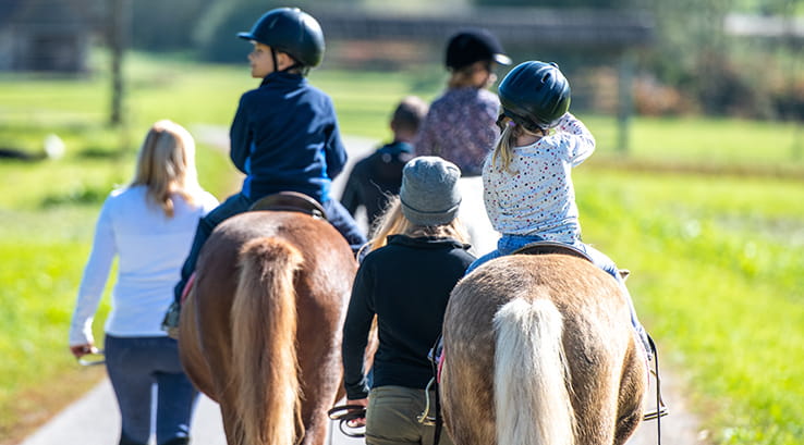 children on a horse riding lesson