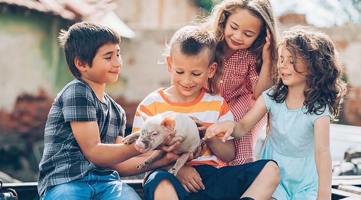 Four children holding and petting a piglet on a farm