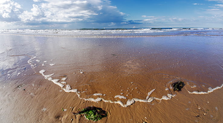 seashore at Brancaster beach