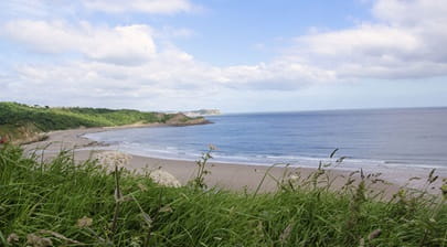 Cayton Bay Beach