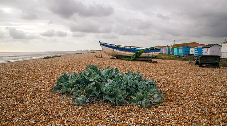 Beach huts and a boat docked on Greatstone Beach