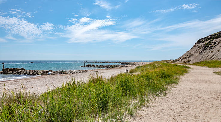 sand dunes and sand grass along the beach on a sunny day