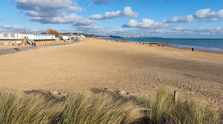 view of a deserted beach with sand grass in the foreground 