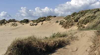 Sandy Bay on Coney Beach
