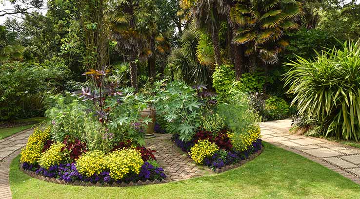 luscious garden plants