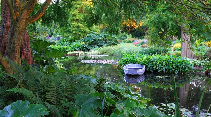 The Beth Chatto Gardens