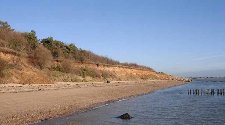 Cudmore Grove shore