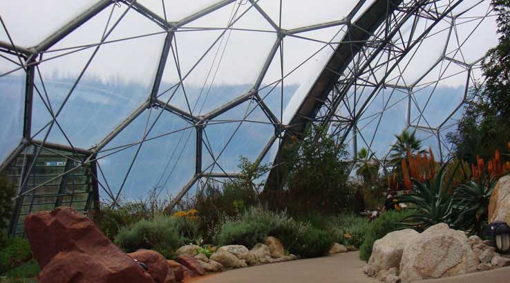 Inside the Eden Project domes with tropical plants