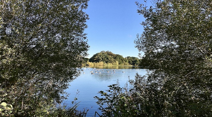 The lake at Kiplin Hall