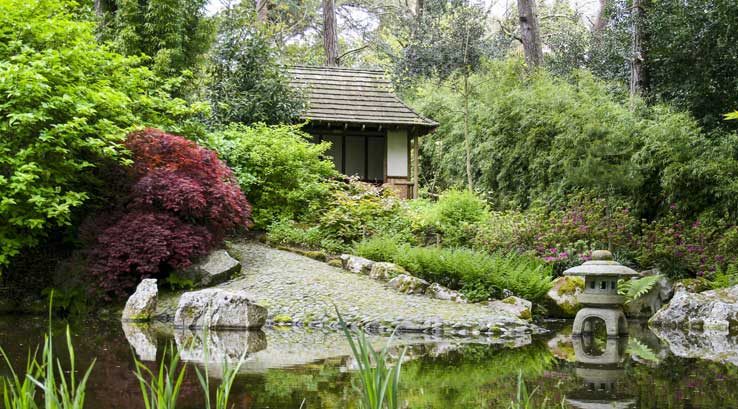 secluded pond at pine lodge gardens