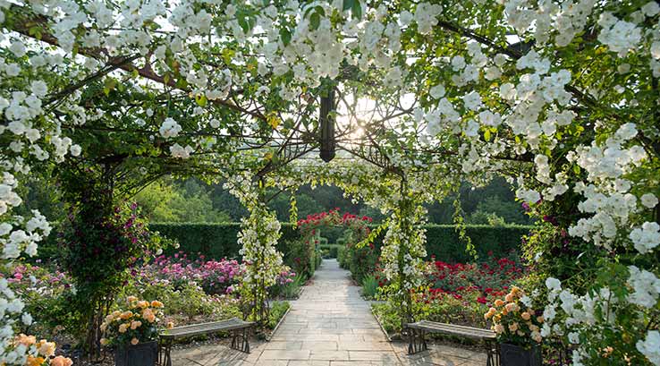 Gardens at Rosemoor in Devon