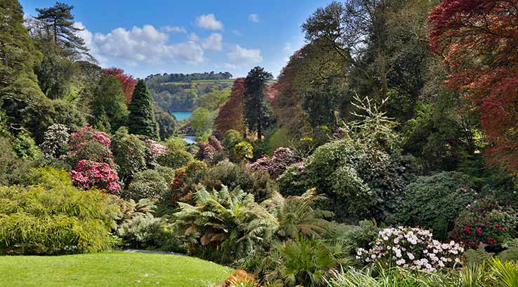 beautiful gardens on a sunny day