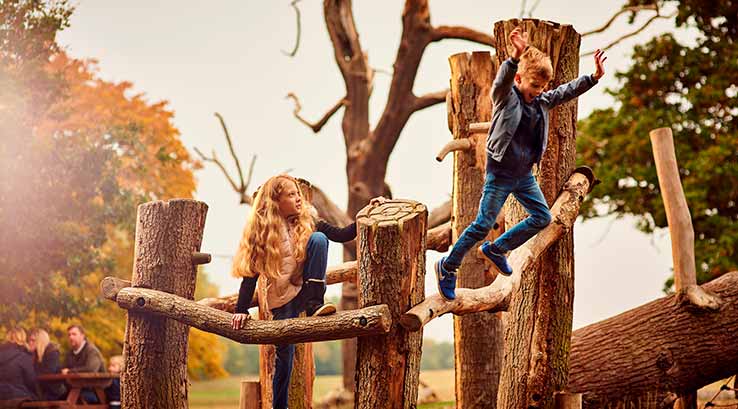 Children in playground