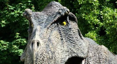 A T-Rex dinosaur model