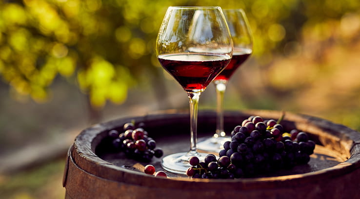 Two glasses of red wine and some red grapes on top of a barrel in a vineyard