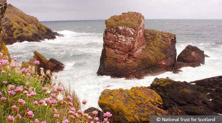  St Abb's Head National Nature Reserve