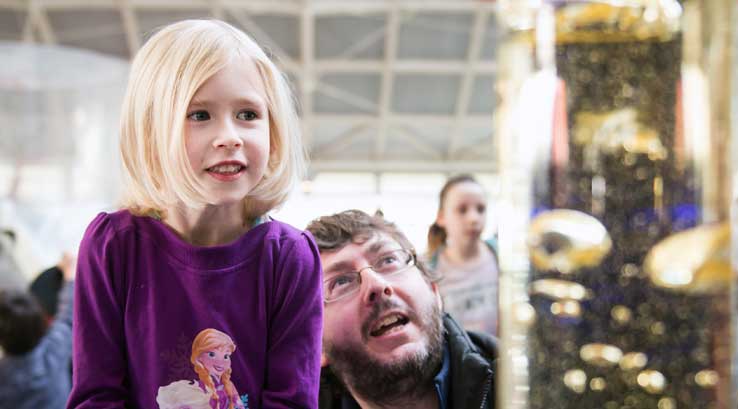 Little girl looking at an exhibit at Winchester Science Centre