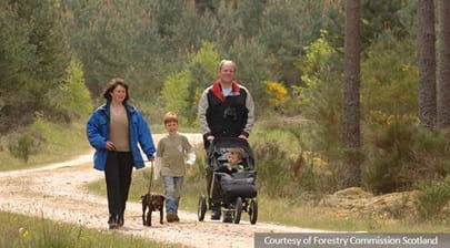 Family walking dog in Culbin Forest