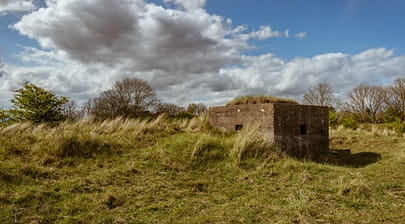 a grassy area in Gibraltar Point National Nature Reserve