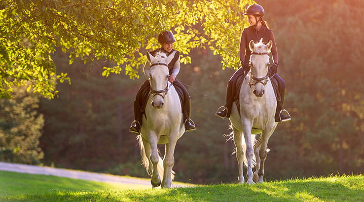 Two kids horse riding in the sunshine