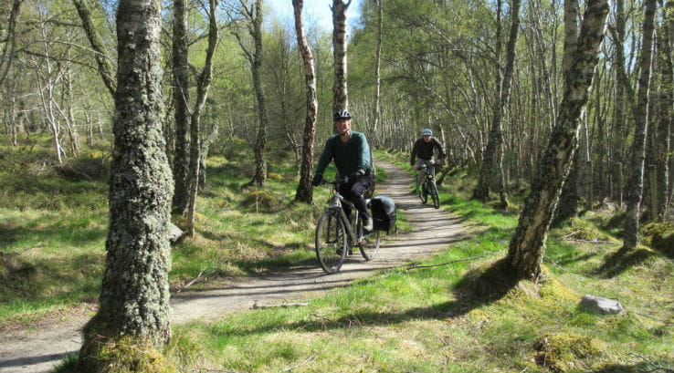 Cyclists riding through woods