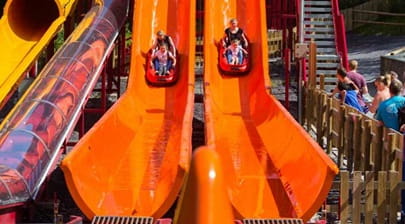 Two groups racing down the slides at  GreenWood Forest Park