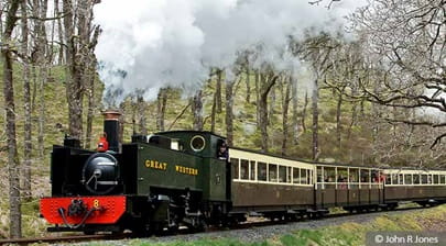 A steam train at Vale of Rheidol Railway