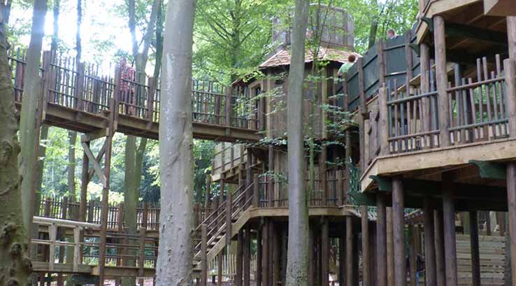 wooden activity area in a forest