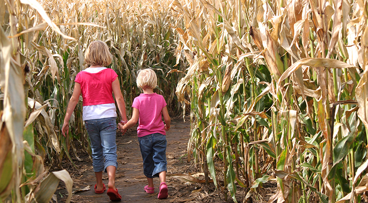 mother and child walking through a maize maze
