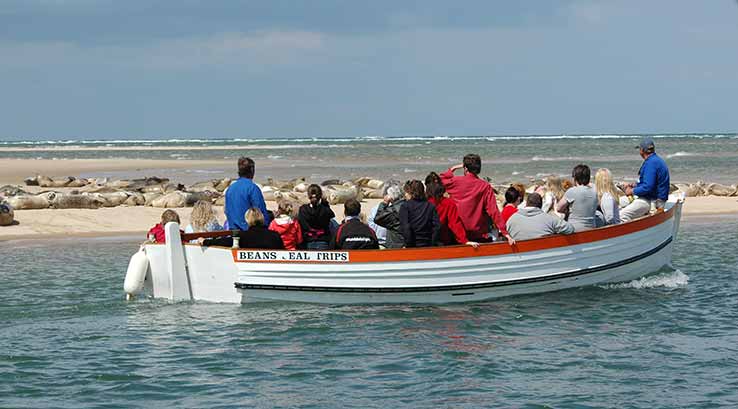people on a seal watching boat