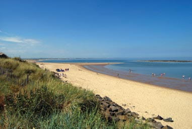 a golden sandy beach on a sunny day