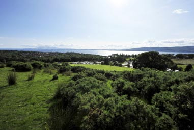 green countryside on a sunny day
