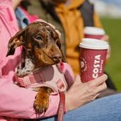 Person holding a puppy with a Costa coffee cup