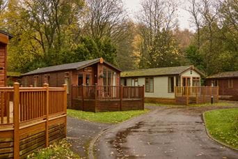 Lodges in forest