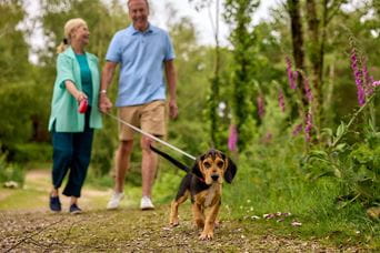 Couple walking dog through woods